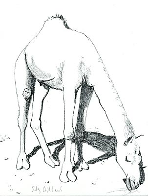 Gilles Aillaud, Galerie-Bordas