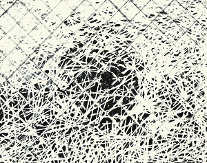 Gilles Aillaud, Galerie-Bordas