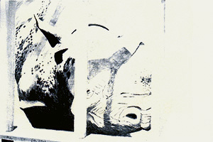 Gilles Aillaud, Galerie-Bordas