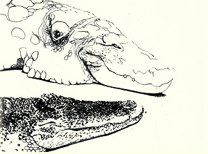 Gilles Aillaud, Galerie-Bordas