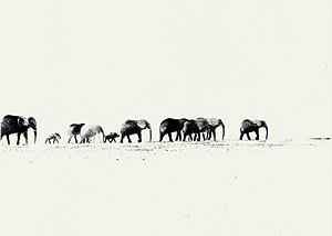 Gilles Aillaud, Galerie-Bordas