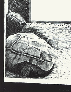 Gilles Aillaud, Galerie-Bordas