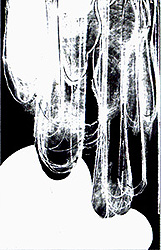 Bordas, Jean-Charles Blais