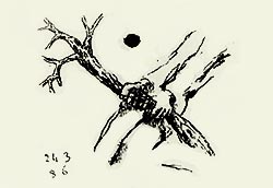 Galerie Bordas, Jean-Charles Blais