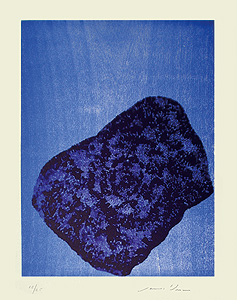 Galerie Bordas, James Brown