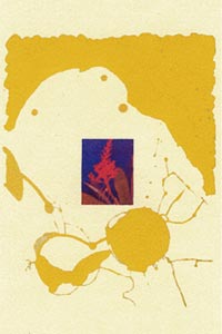 Galerie Bordas, James Brown