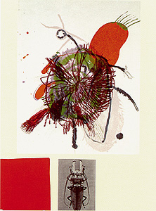 Galerie Bordas, James Brown