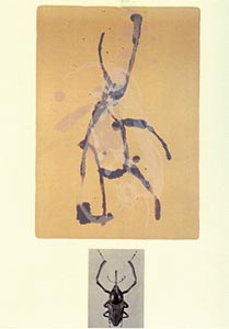 Galerie Bordas, James Brown