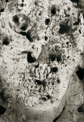 Galerie Bordas, Paul Jenkins
