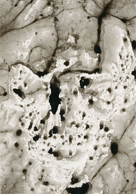 Galerie Bordas, Paul Jenkins