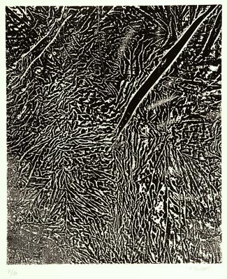 Lithographie de Hervé Bordas