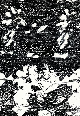 Lithographie de Hervé Bordas