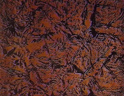 Lithographie Hervé Bordas