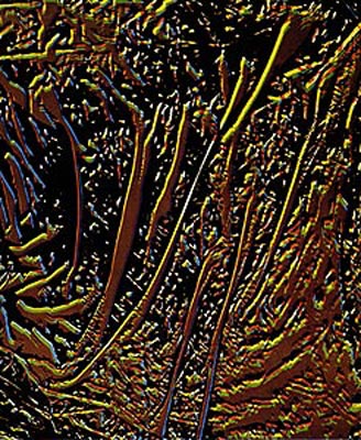 Lithographie de Hervé Bordas