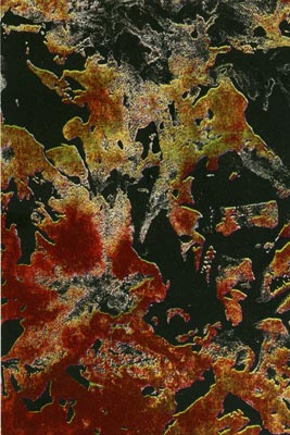 Lithographie de Hervé Bordas