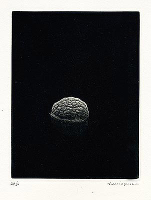 Hamagushi Schwarz
