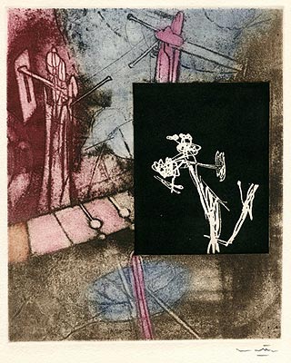 Roberto Matta