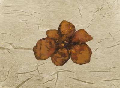 Galerie Bordas, Jose-Maria Sicilia