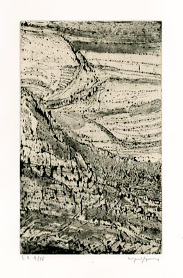 Arpad Szenes Lithographie
