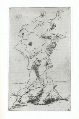 André Masson livres illustrés