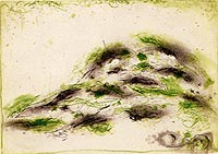 Livre illustr� par Zoran Music