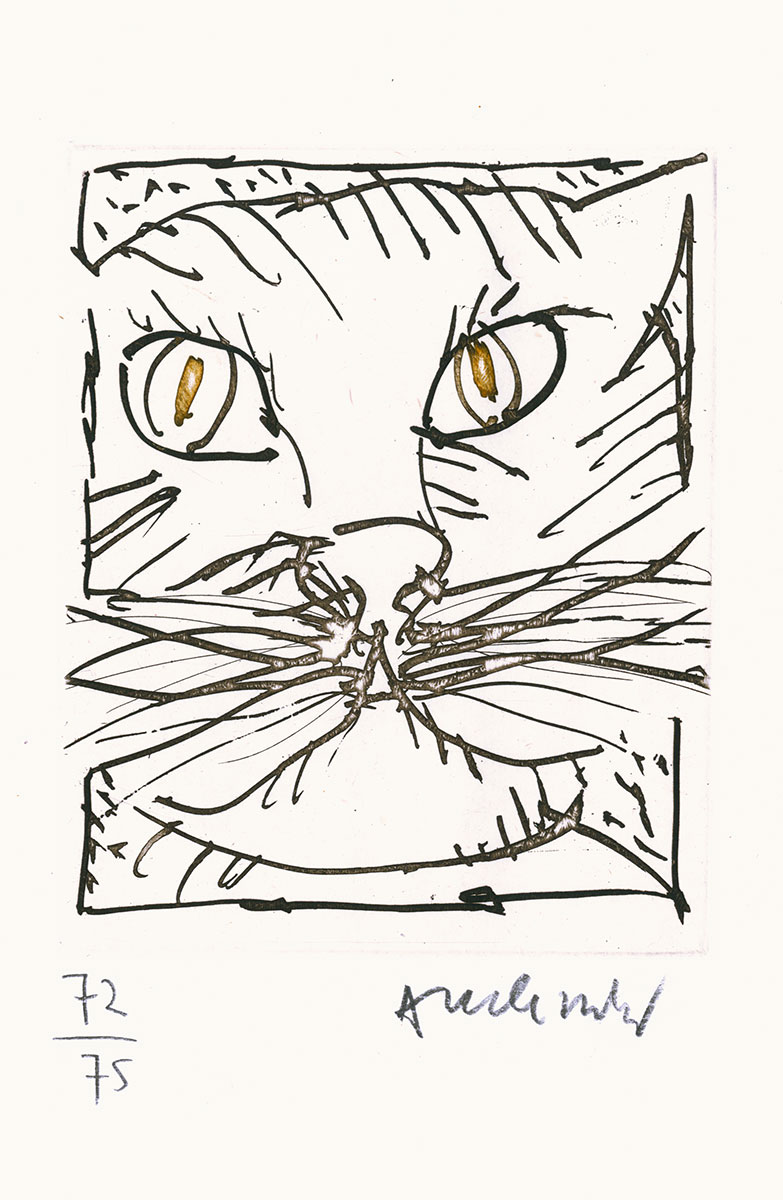 Pierre Alechinsky, Livre, -Monsieur Mouton-, 1993