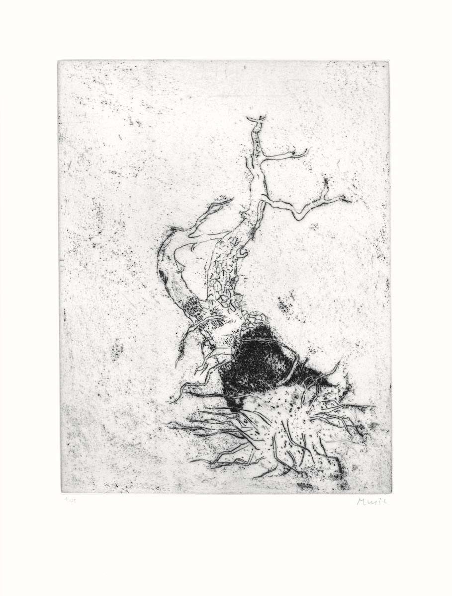 Zoran-Music-Estampe-Eau-forte-69.-Motif-végétal-Sipleda,-Roma-1985-1973
