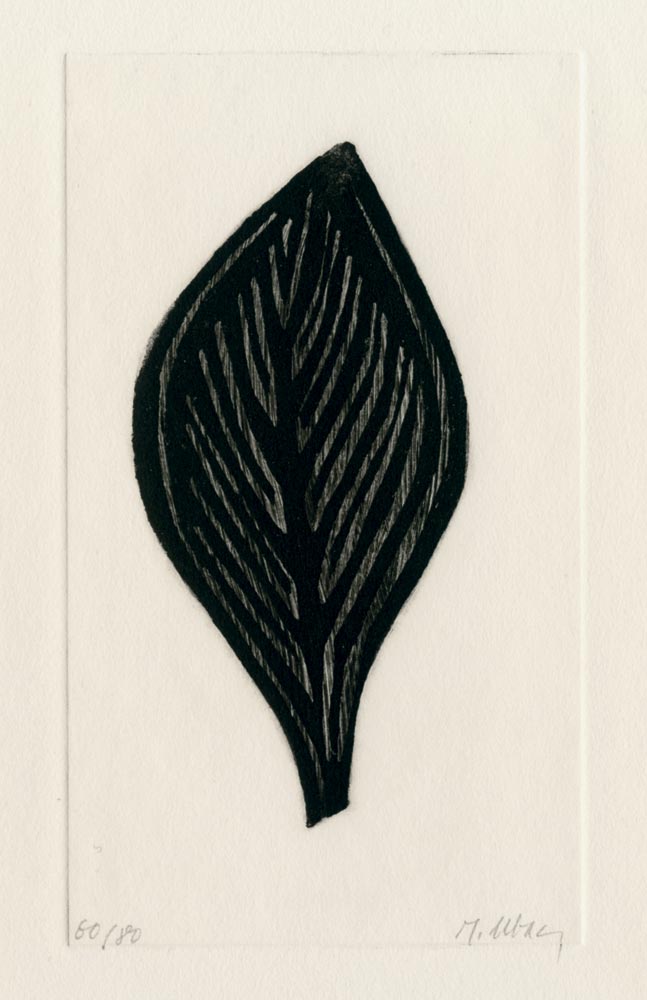 Raoul Ubac, Livre, -La lettre de Lord Chandos-, 1975