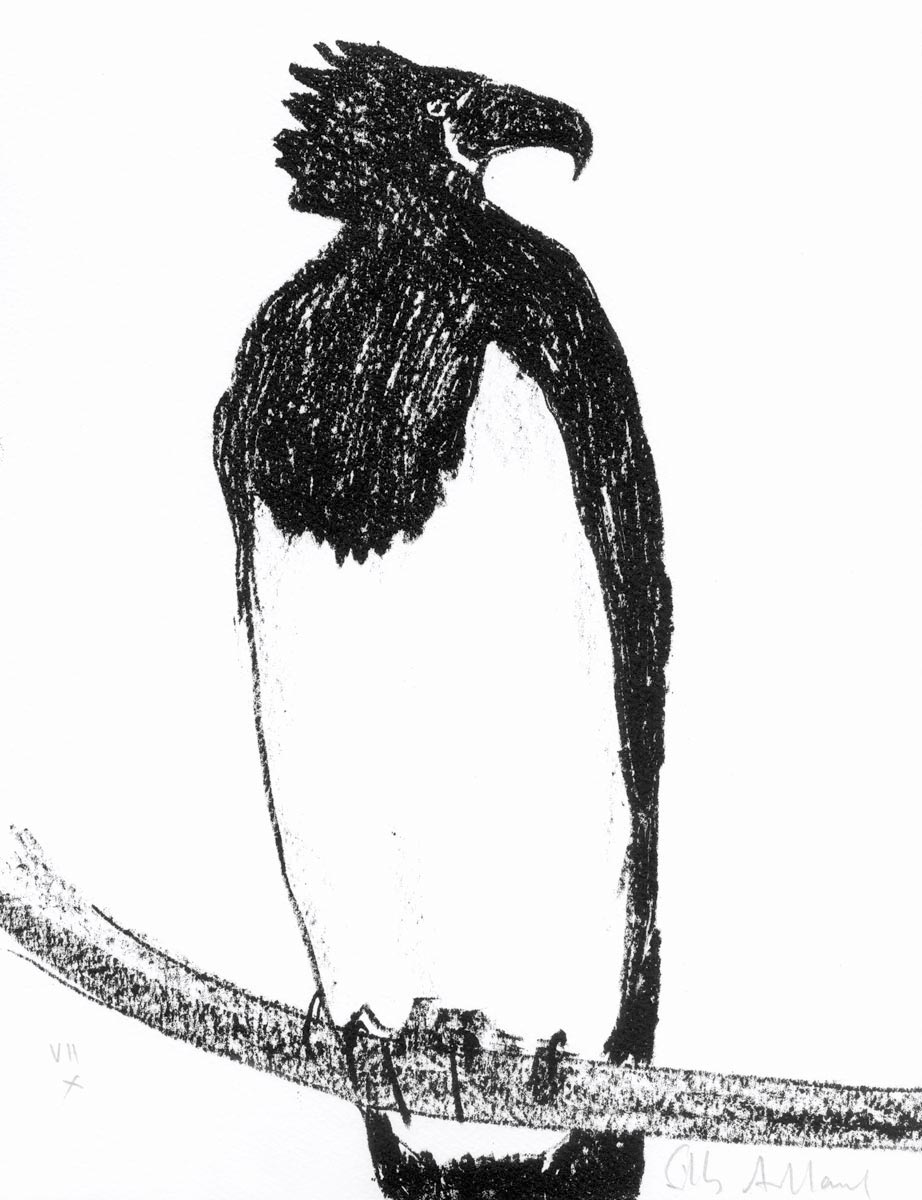 Gilles-Aillaud-Estampe-Lithographie-Aigle-à-poitrine-noire--Franck-Bordas,-Paris-1989