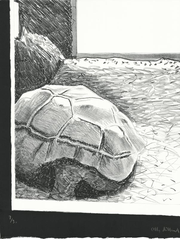 Gilles Aillaud, Lithographie, -Tortue-, 1978