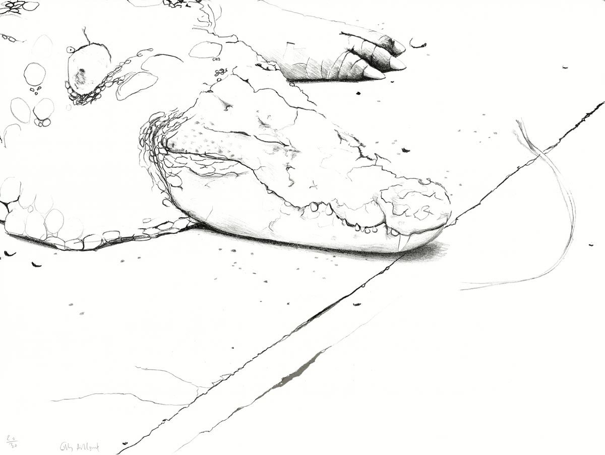 Gilles Aillaud, Lithographie, -Crocodile-, 1983