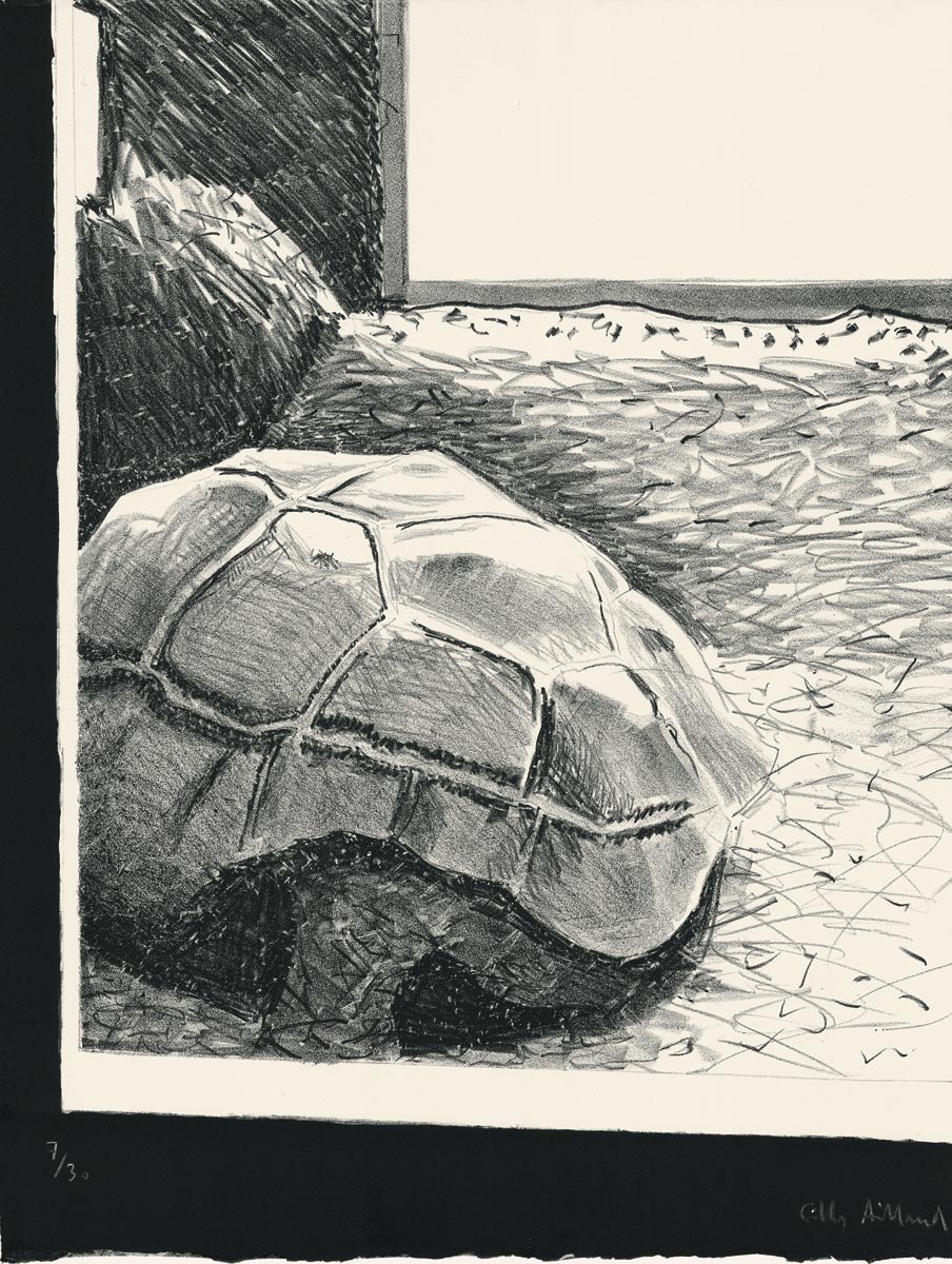 Gilles Aillaud, Lithographie, -Tortue-, 1978