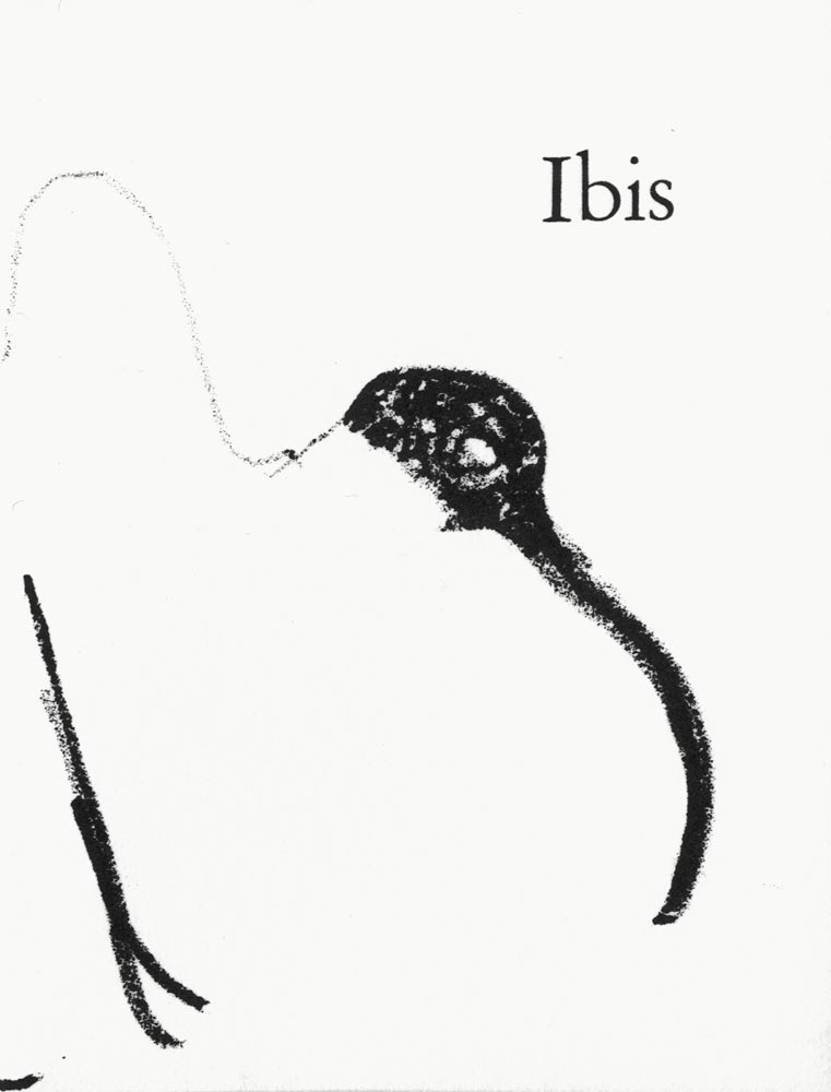 Gilles Aillaud, Livre, -Ibis-, 1997