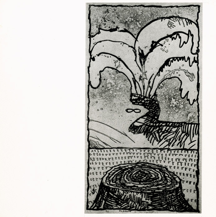 Pierre Alechinsky, Catalogue, 1981