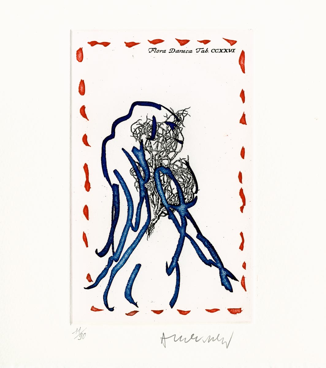 Pierre Alechinsky, Livre, -Flores -, 1998