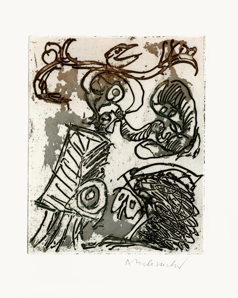 Pierre-Alechinsky-Livre-Eau-forte-L-espace-d-un-doute-PAB,-Alès-1967