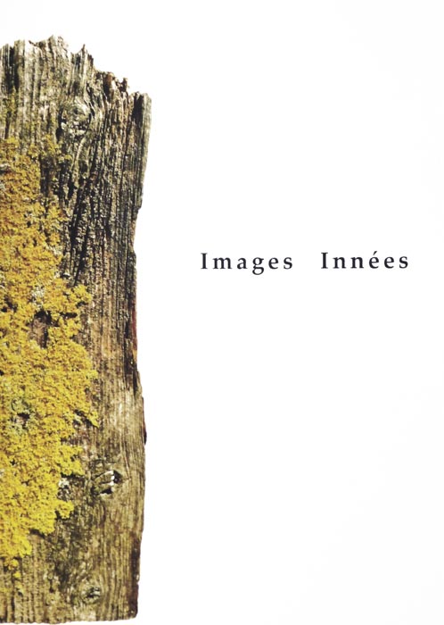 Hervé Bordas, Livre, -Images innées-, 2017