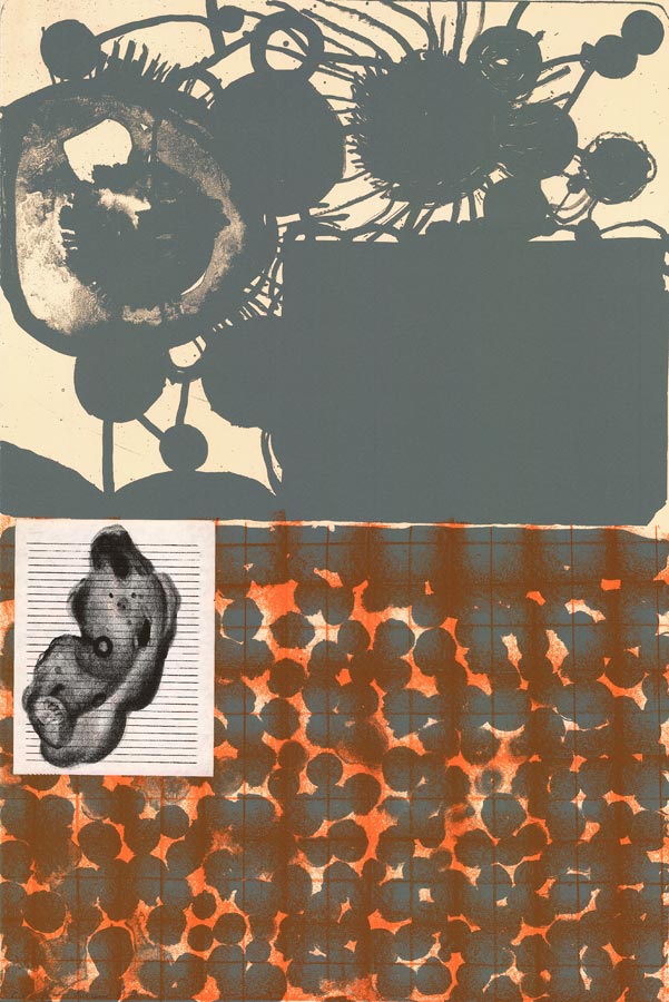 James-Brown-Estampe-Lithographie-Tramped-Down-the-Stone-2-Bernd-Kluser-1998