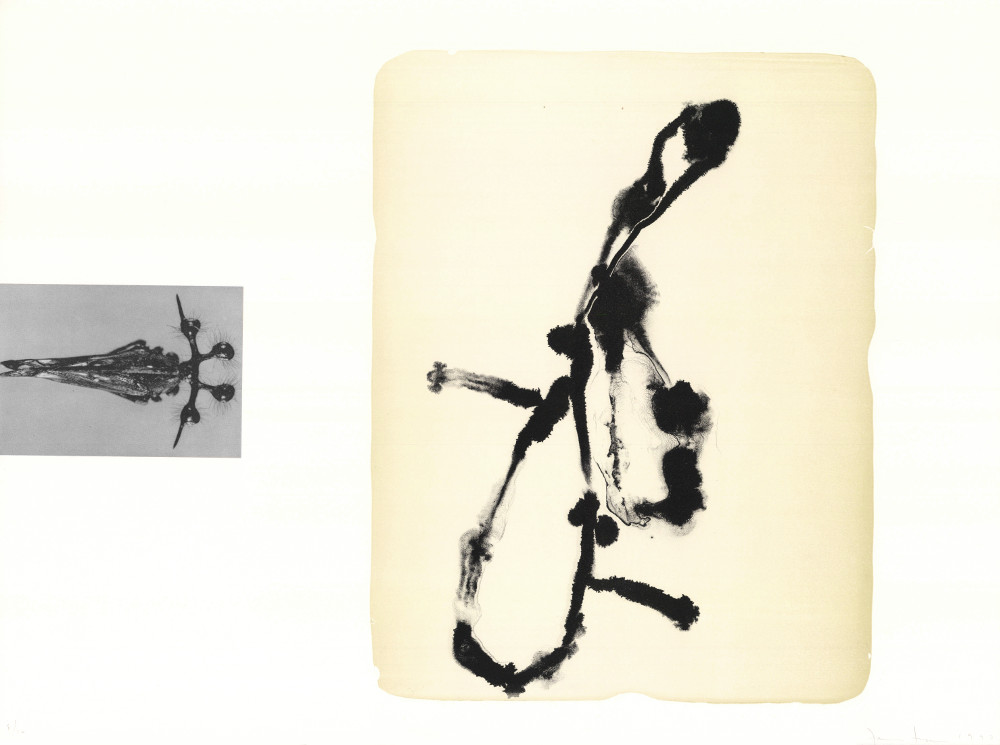 James Brown, Lithographie, -Souvenirs entomologiques 3-, 1997