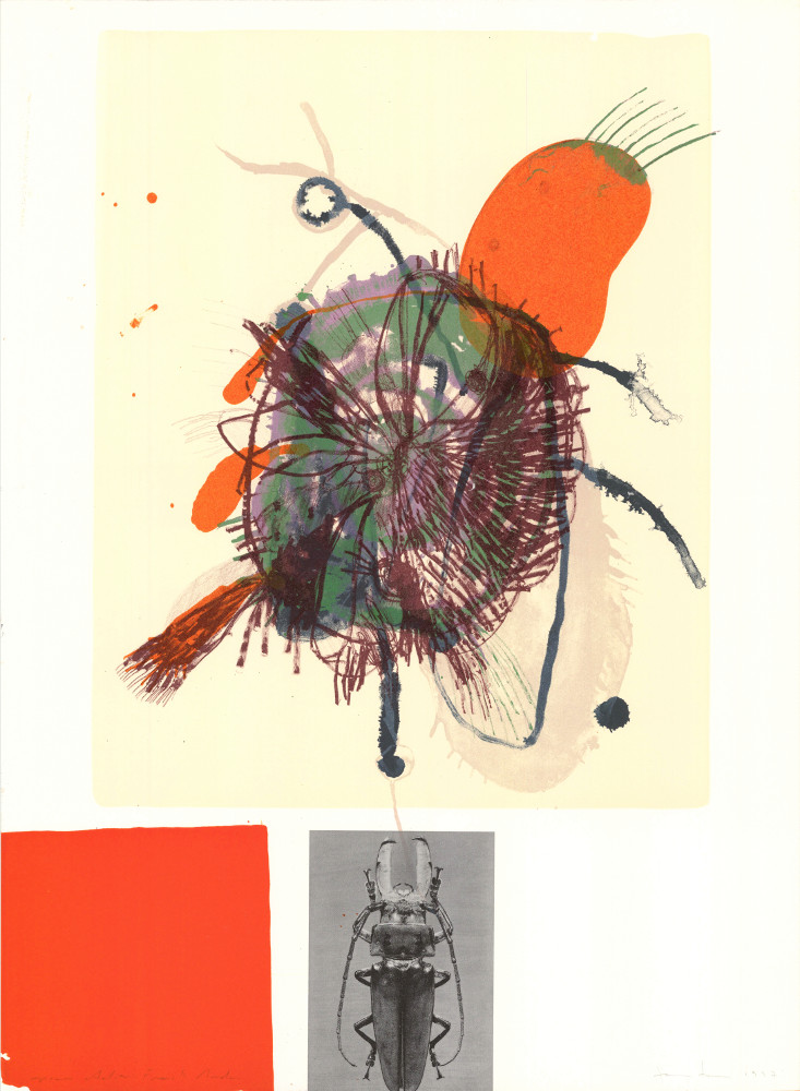 James-Brown-Estampe-Lithographie-Souvenirs entomologiques 4-Atelier Bordas, Paris-1997