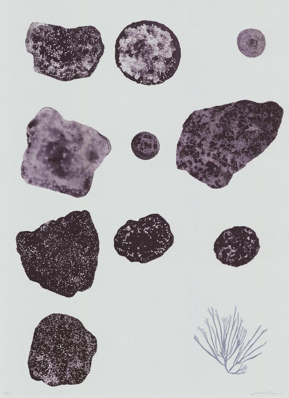 James Brown, Lithographie, -Sponge, seaweed & Coral-, 2002