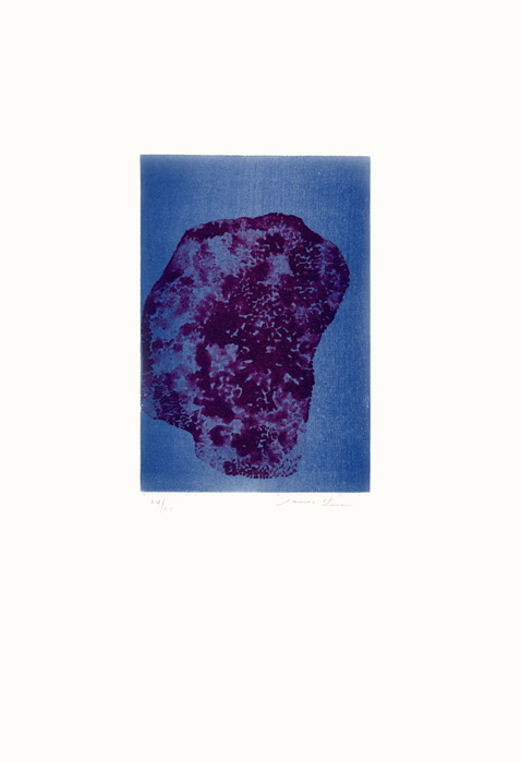 James-Brown-Estampe-Lithographie-Sponge, seaweed & Coral-Atelier Bordas, Paris-2002