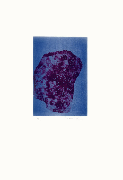 James Brown, Lithographie, -Sponge, seaweed & Coral 11-, 2001