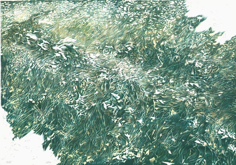 Henri Cueco, Lithographie, -Le Chemin de l-atelier-, 1983