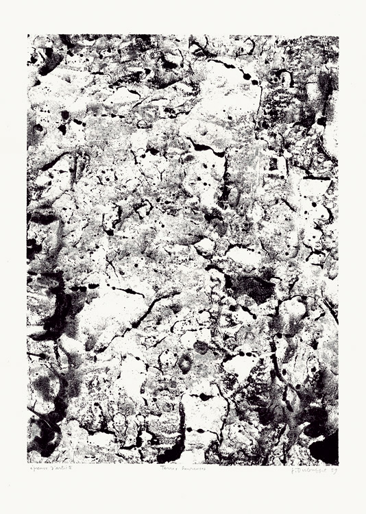 Jean-Dubuffet-Estampe-Lithographie-Les phénomènes, Terres heureuses--1959