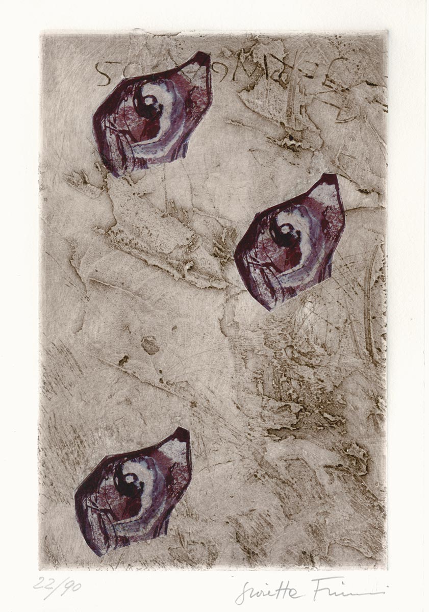 Giosetta Fioroni, Livre, -Un Cane di Goya-, 2008