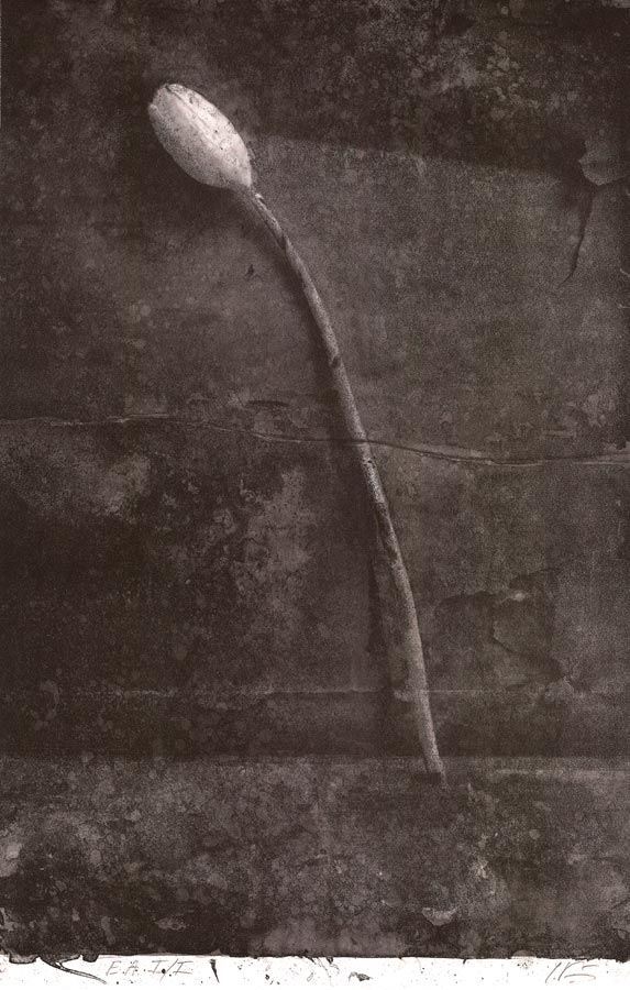 Yuri Kuper, Lithographie, -Tulipe-