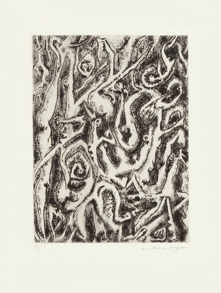 André Masson, Pointe-sèche, -Êtres enchevêtrés-, 1946