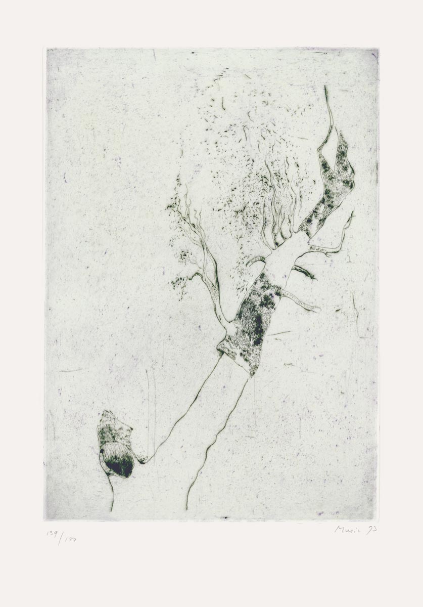 Zoran Music, Eau-forte, -Motif végétal-, 1973