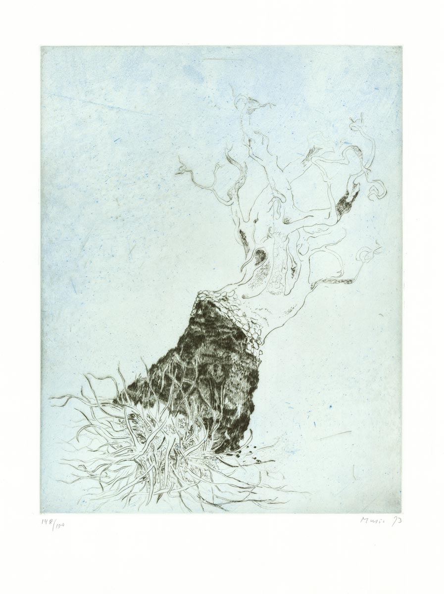 Zoran-Music-Estampe-Eau-forte-Motif-végétal-Graphik-International,-Stuttgart-1973